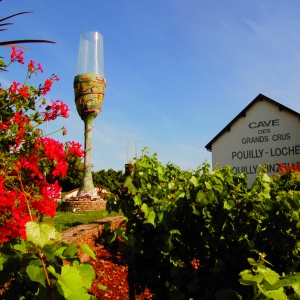 Cave des Grands Crus Blancs